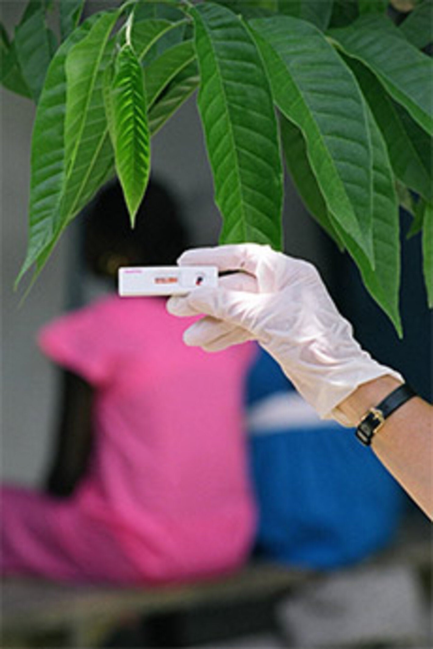 Shortages of benzathine penicillin. How big is the problem? And why it matters