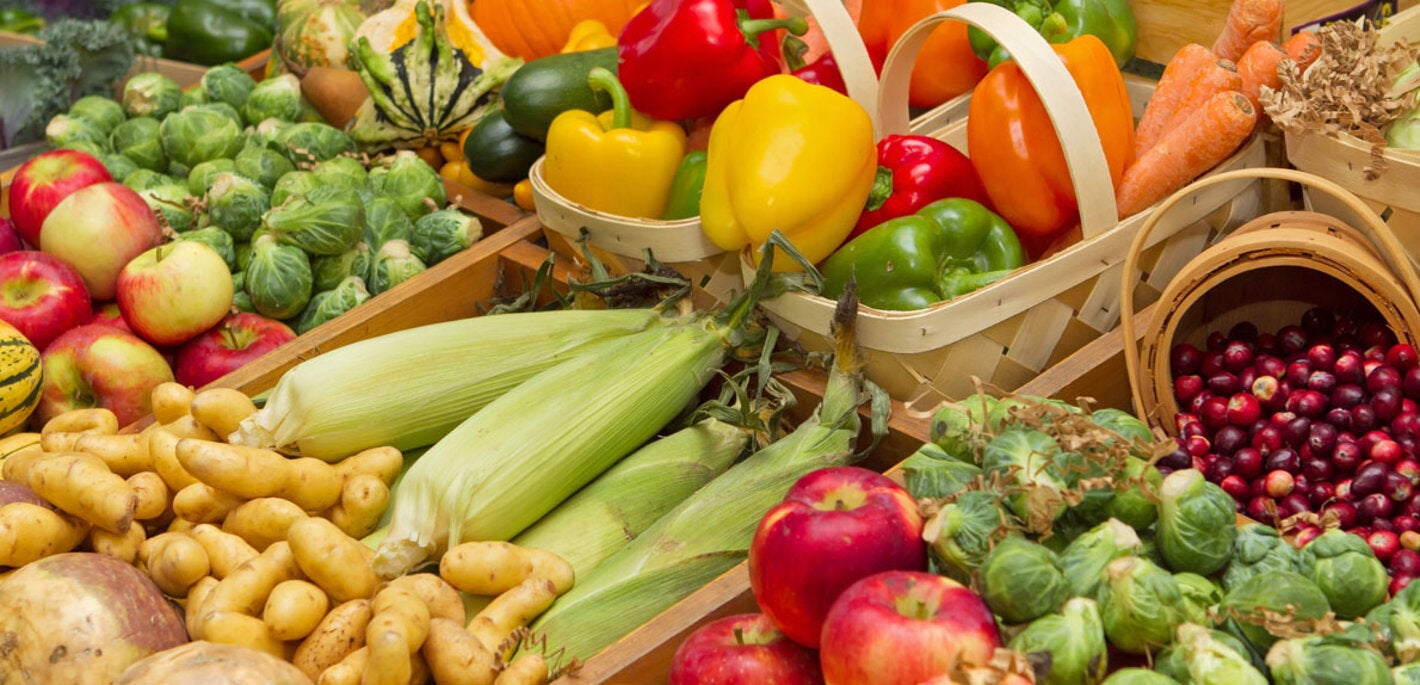 En el informe se analizan los «costos ocultos» de las dietas poco saludables y cuatro opciones de modelos alternativos.