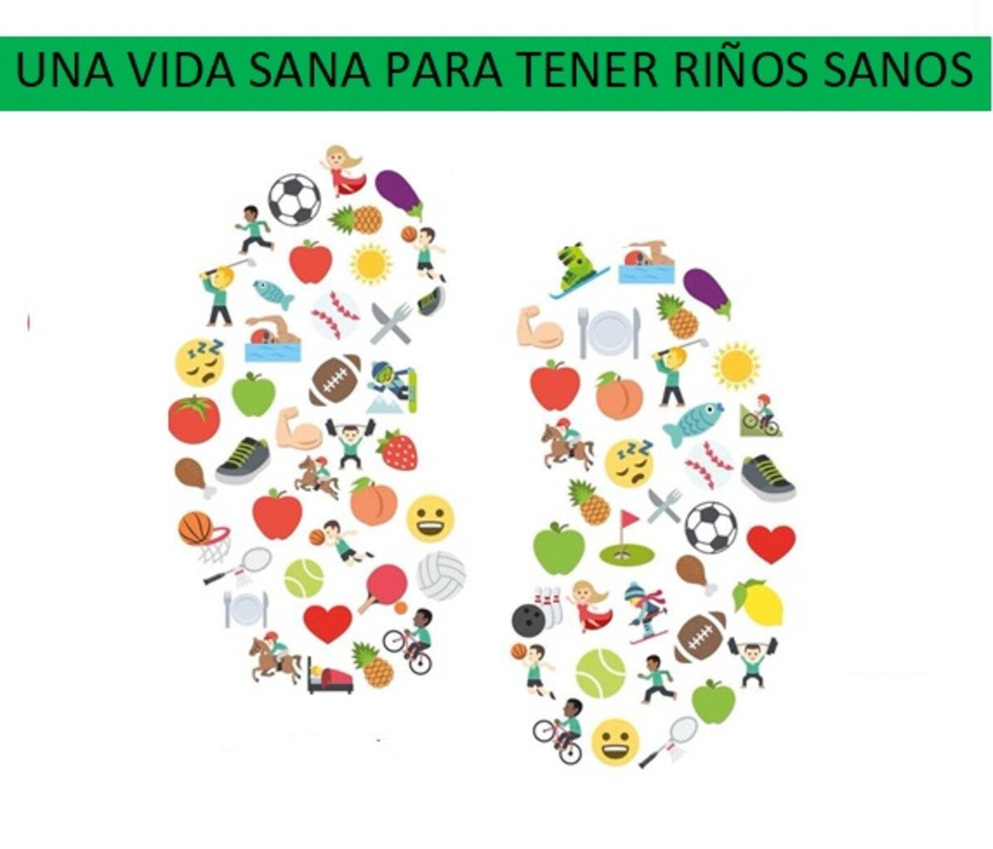 Ilustración de riñones 