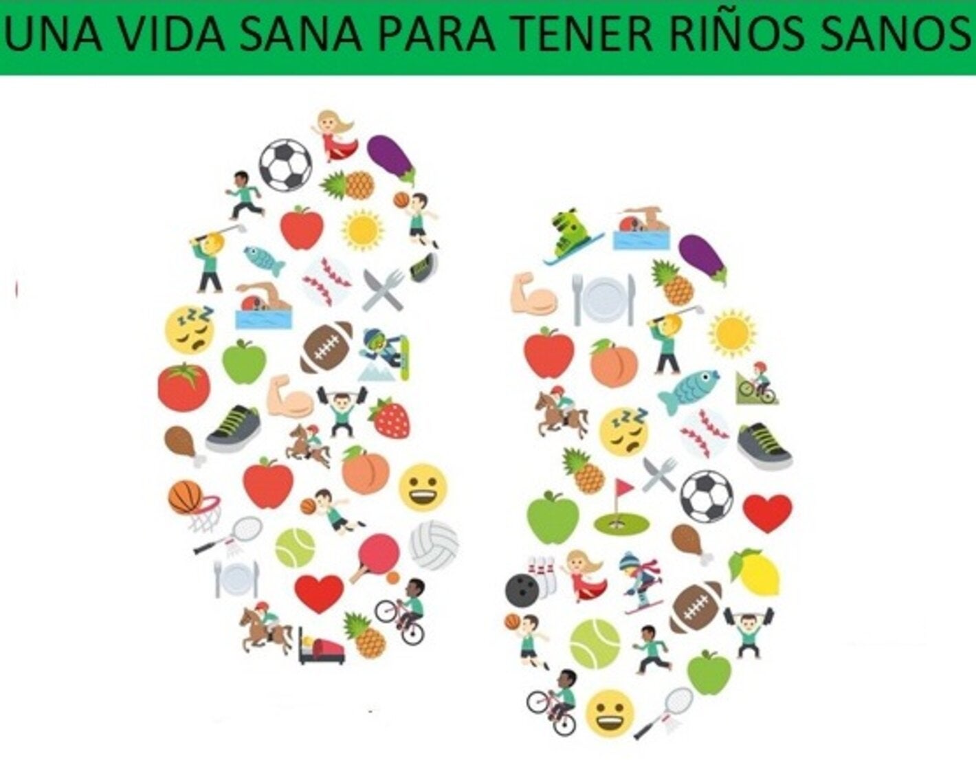 vida-sana-riñones-sanos