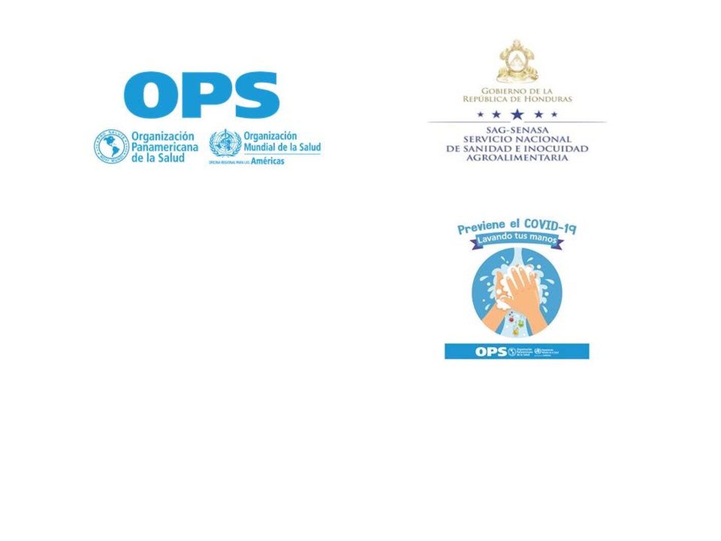 bioseguridadeneltrabajohnd