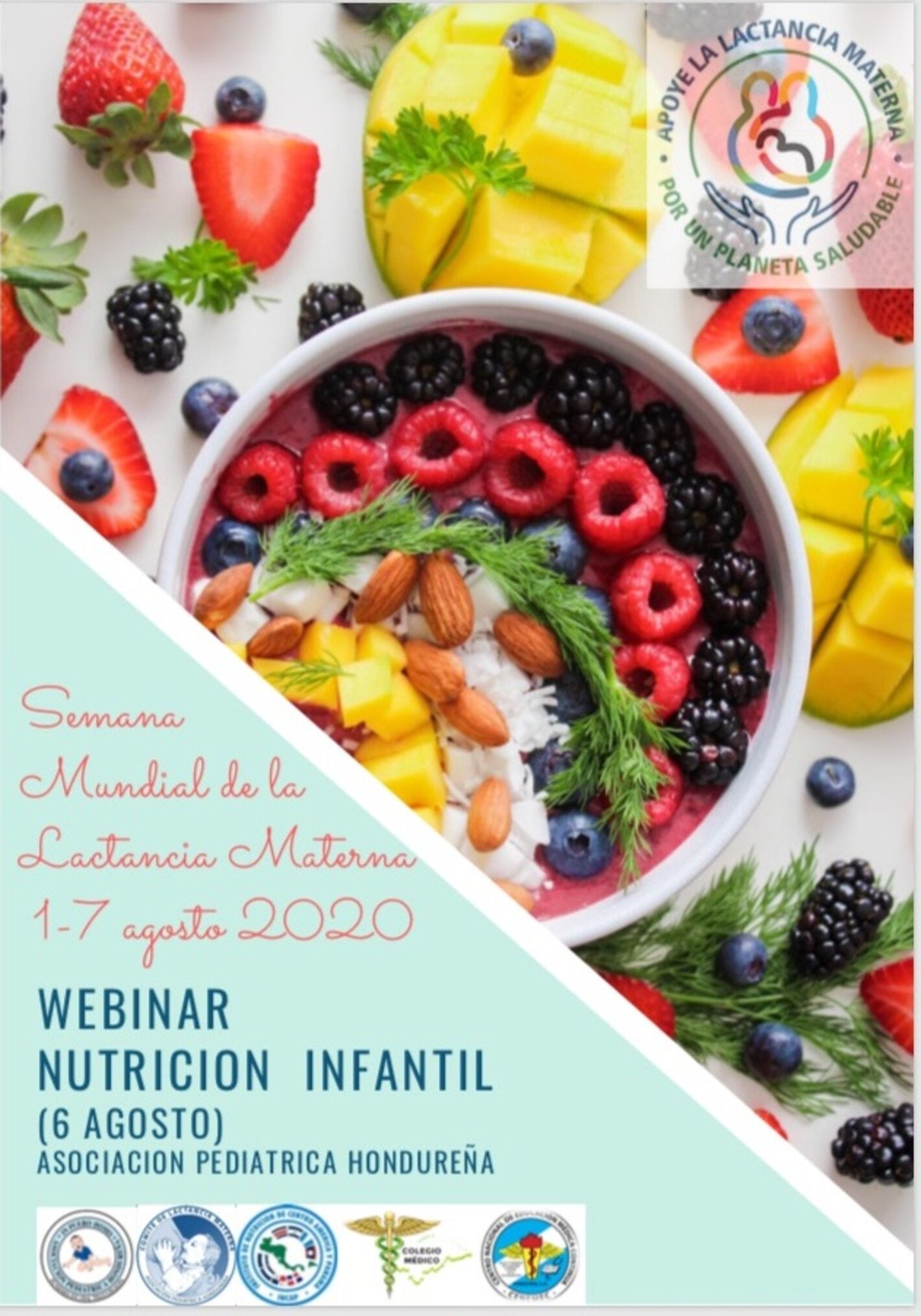 alimentacion infantil