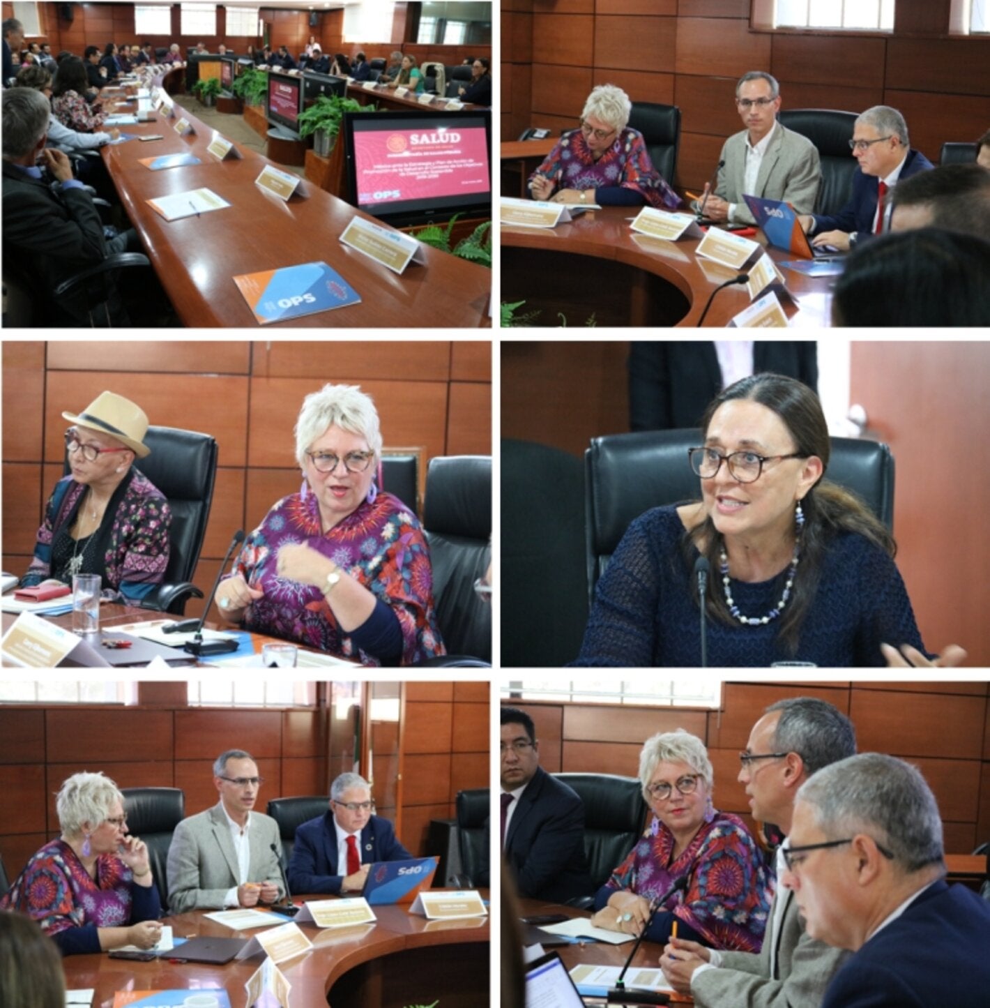 OPS y Secretaria de Salud impulsan diálogo político de alto nivel sobre promoción de la salud 