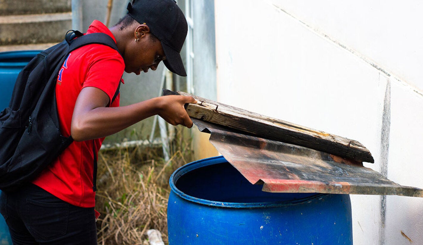 Inspection for mosquitoes