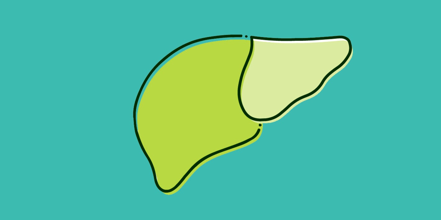 Um ícone de um fígado