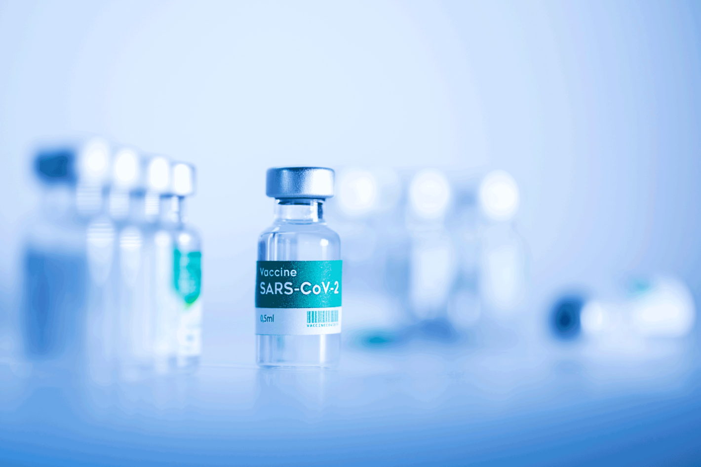 Shutterstock.com/Zambranas