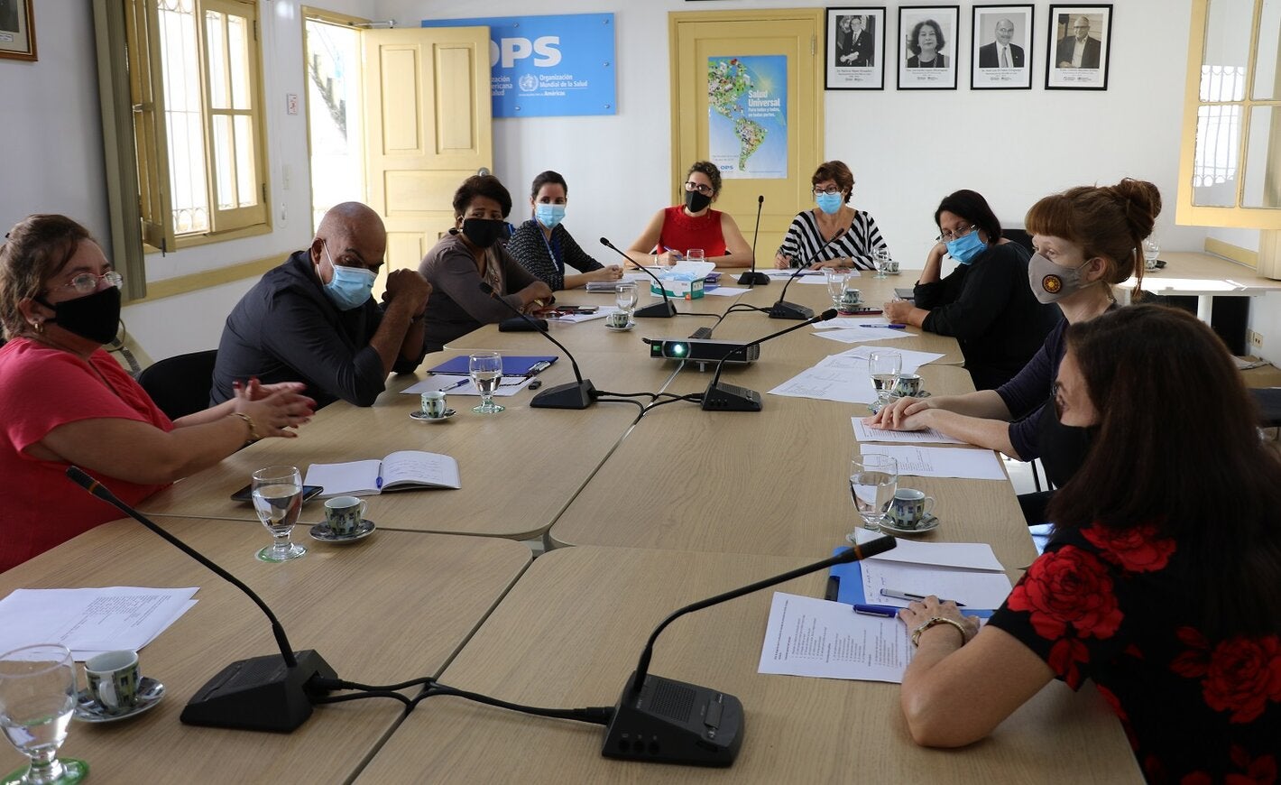 Participantes-segundo-taller-proyecto-OPS-Canadá