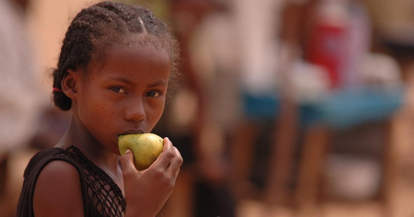 Photo of a young girl with braided hair eating a pear