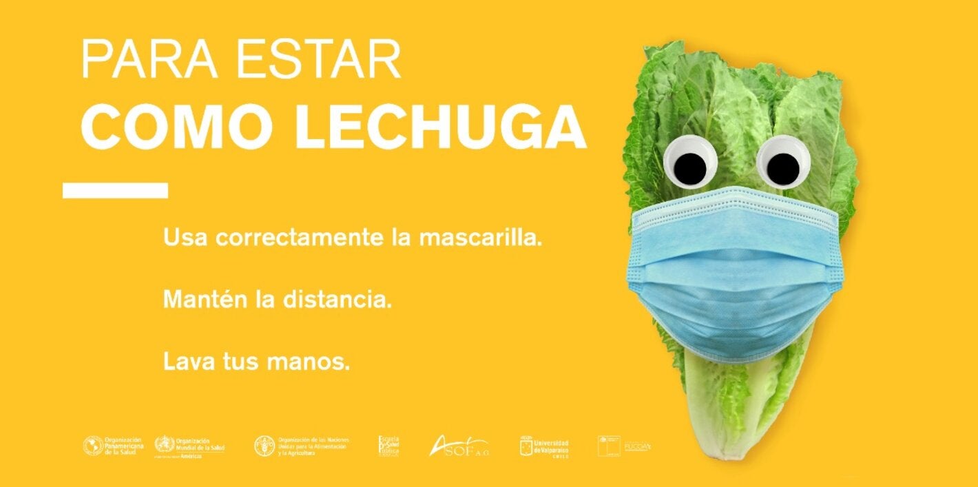 Para estar como lechuga en la feria 