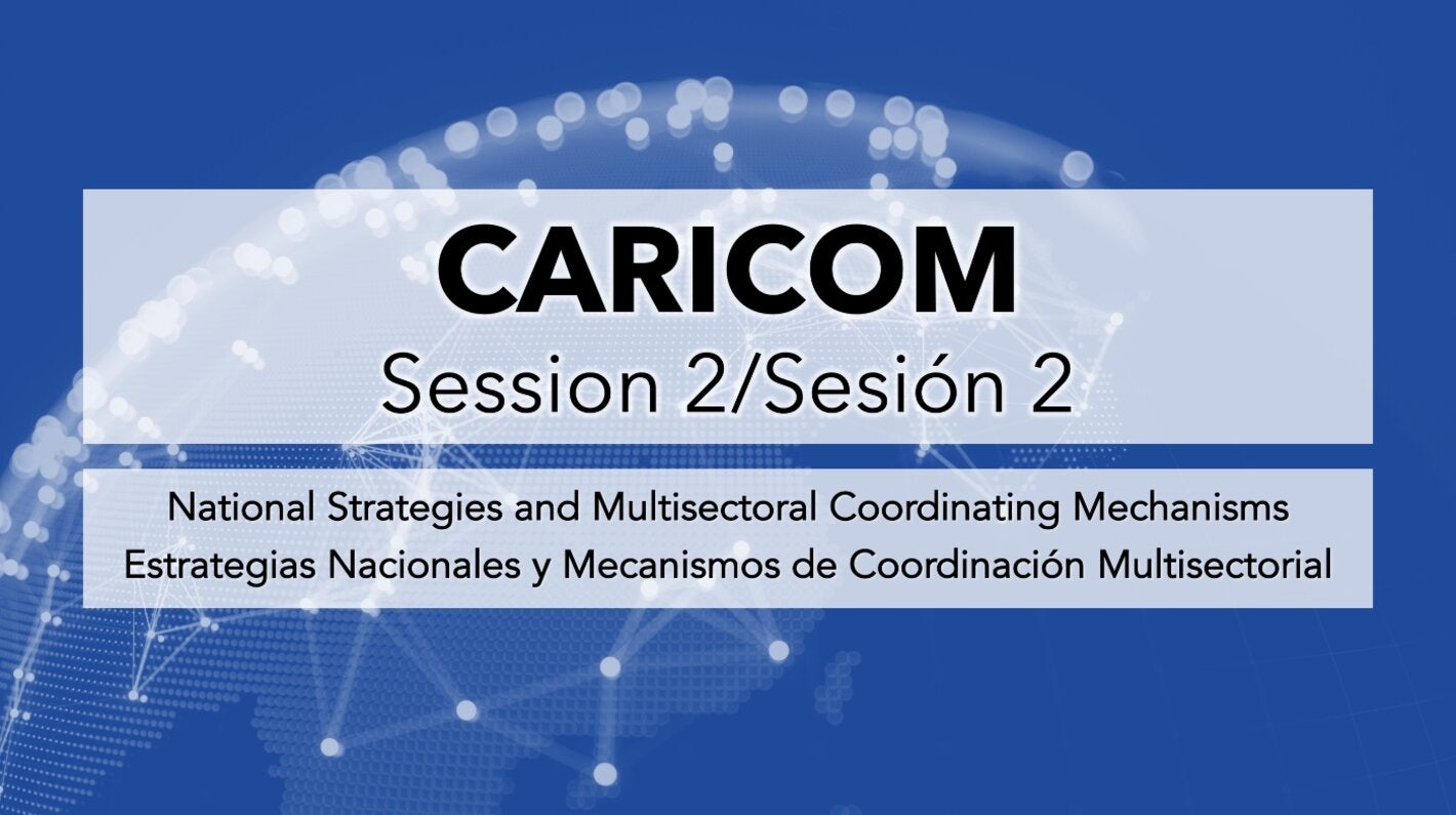 CARICOM session on national strategies and multisectoral coordinating mechanisms