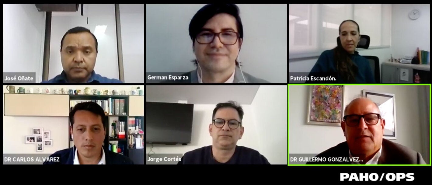 pNATALLA DE PANELISTAS EN ZOOM