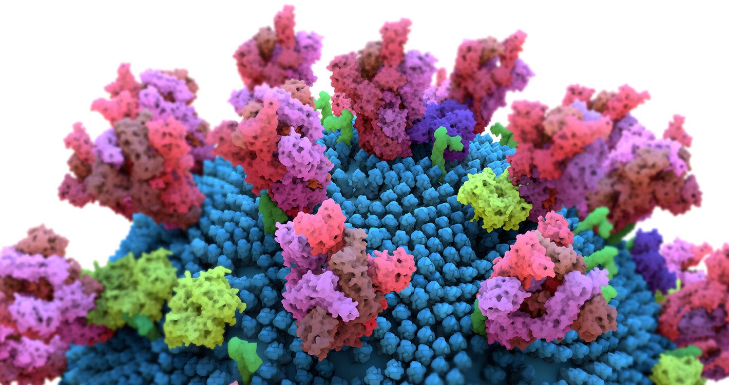Variants of concern” of the virus that causes COVID-19, SARS-CoV-2