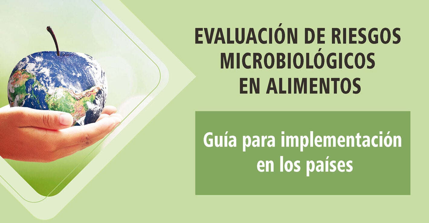 Manual evaluacion riesgo