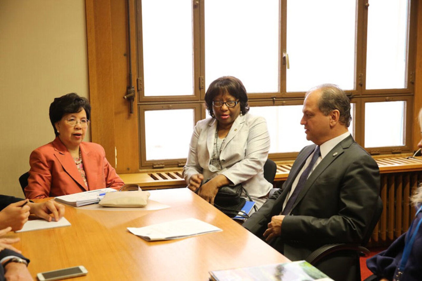 69ams-moh-brazil-dg-d-who