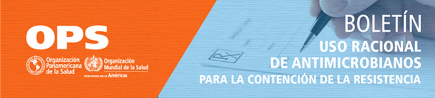 baner de boletin ram
