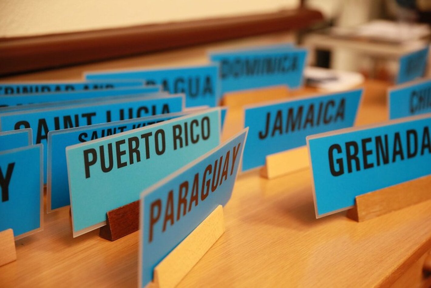 delegados-paises-70-wha