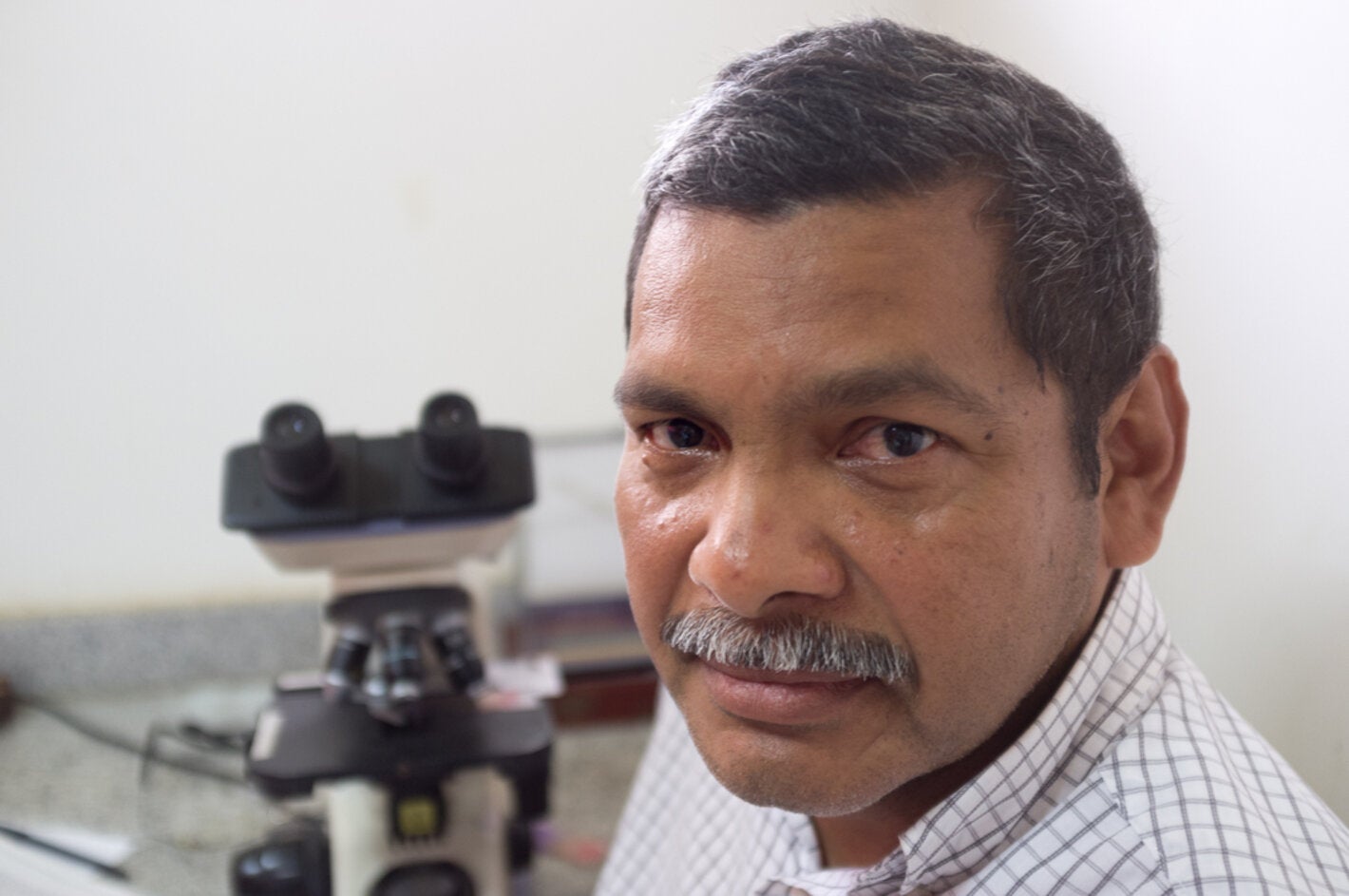 Microorganism - Wikipedia, image size:1420x943