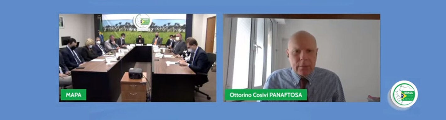 Seis estados brasileños recibieron el reconocimiento como zonas libres de fiebre aftosa sin vacunación