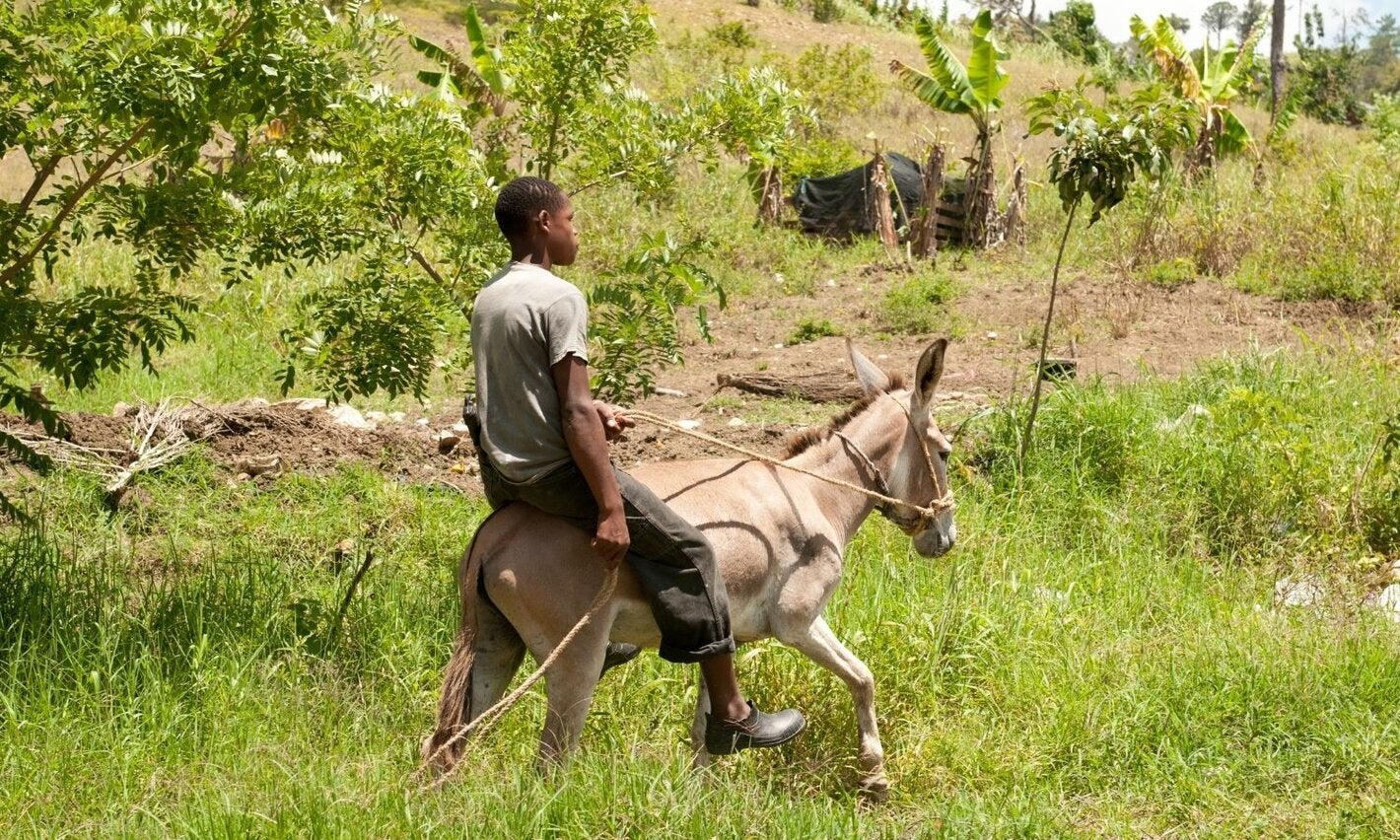 Adolescente en zona rural