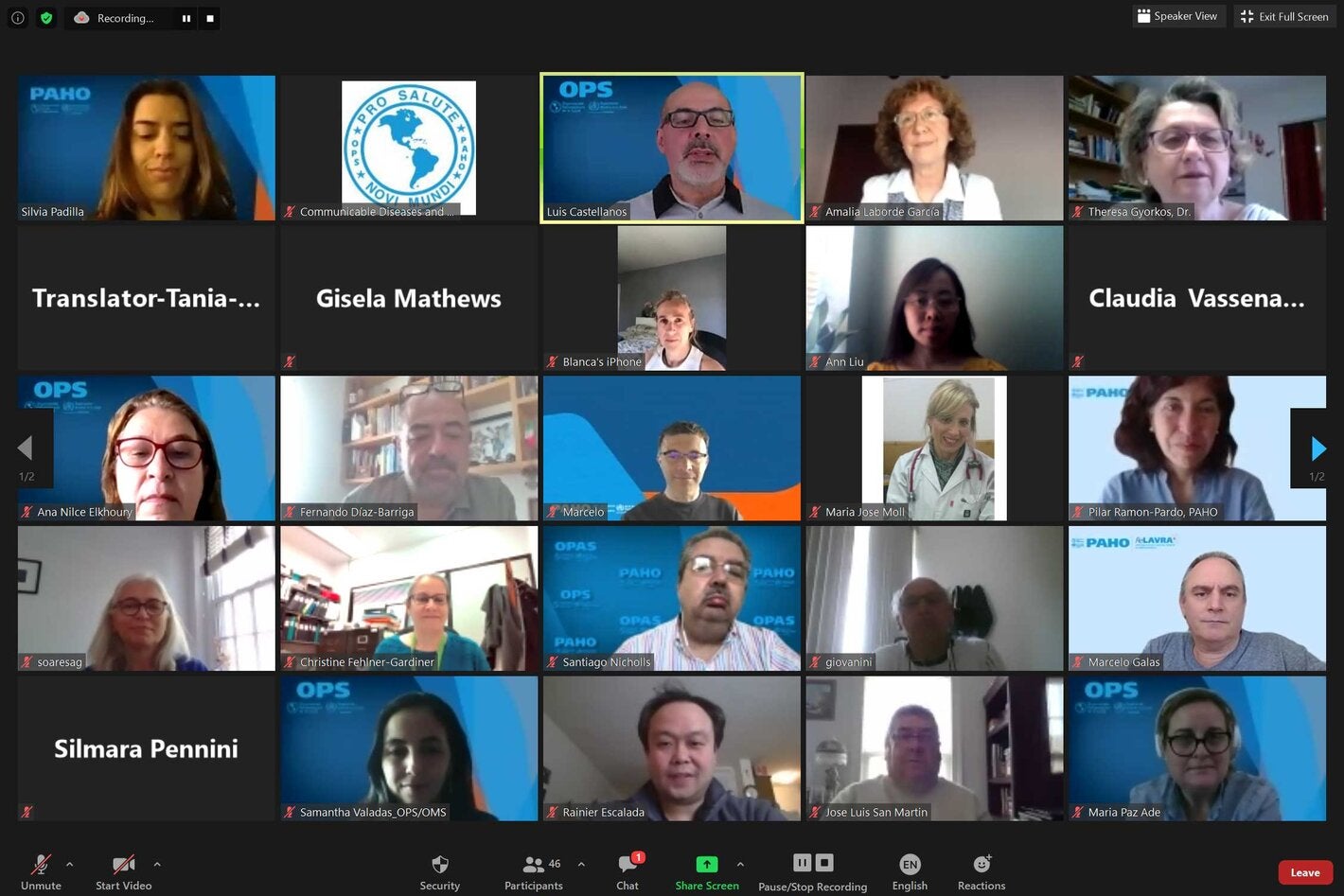 screenshot of meeting