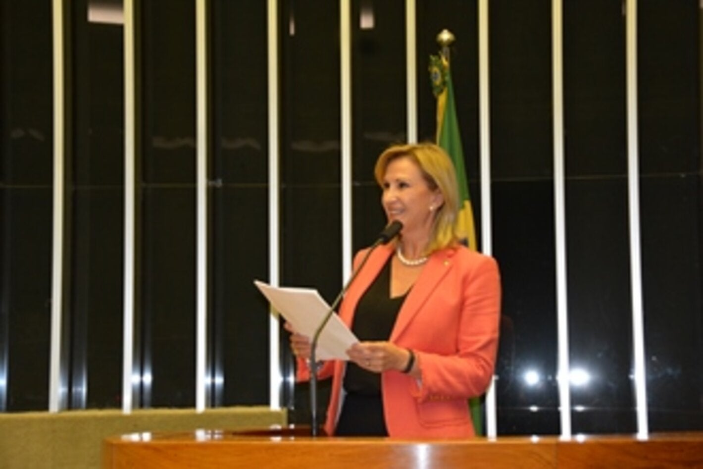 maria-dolores-plenario-camara-deputado