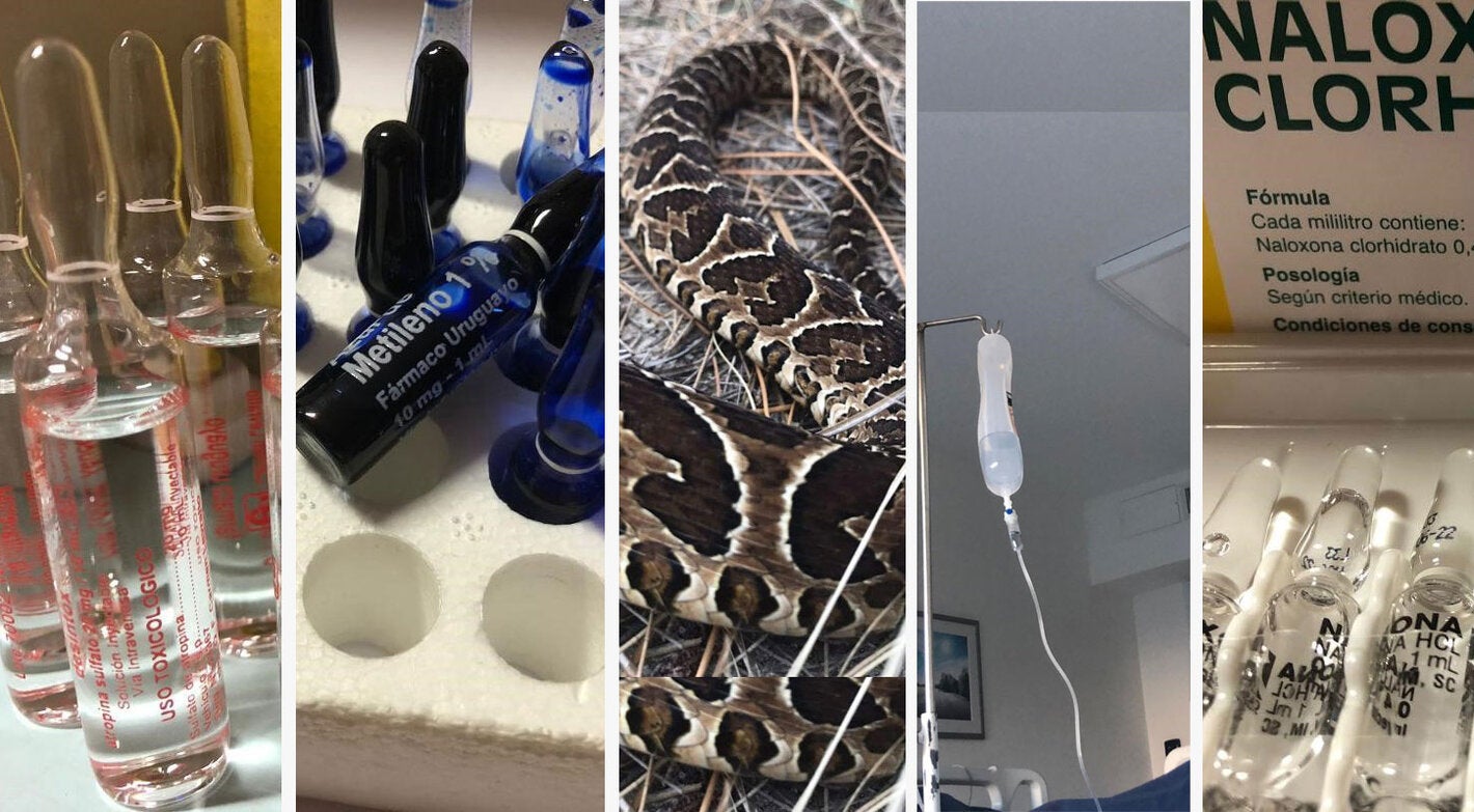 Webinario: Antídotos y Antivenenos. Perspectivas para la colaboración regional