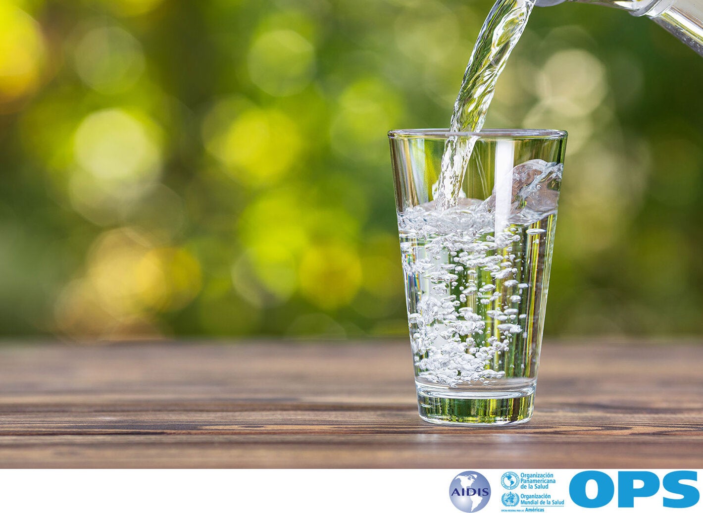 28º Encuentro Técnico de Alto Nivel:  “AGUA SEGURA PARA UNA VIDA SANA” En Conmemoración al Día Interamericano del Agua – DIA-A