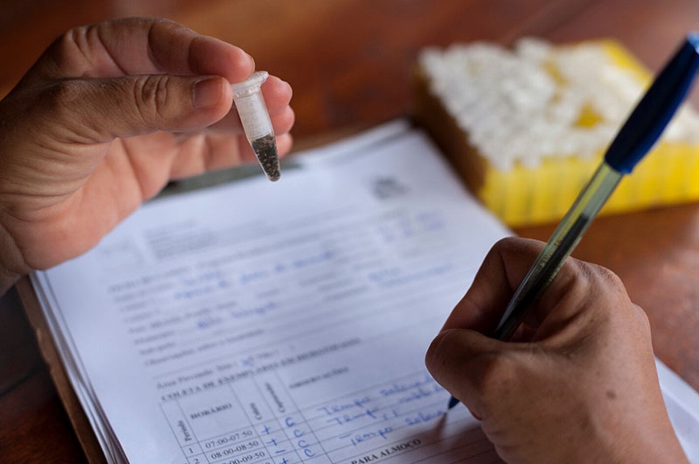 International Coalition Urges Final Push to Eliminate River Blindness from the Americas