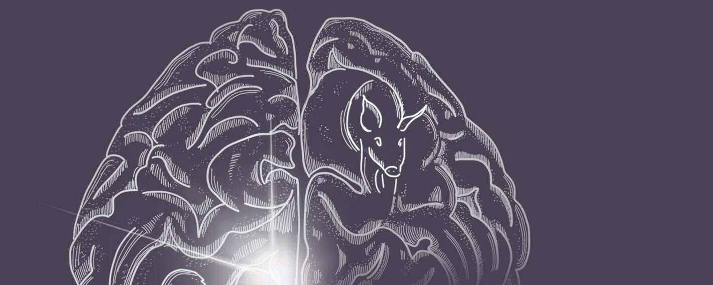 cover-taenia-solium-pub