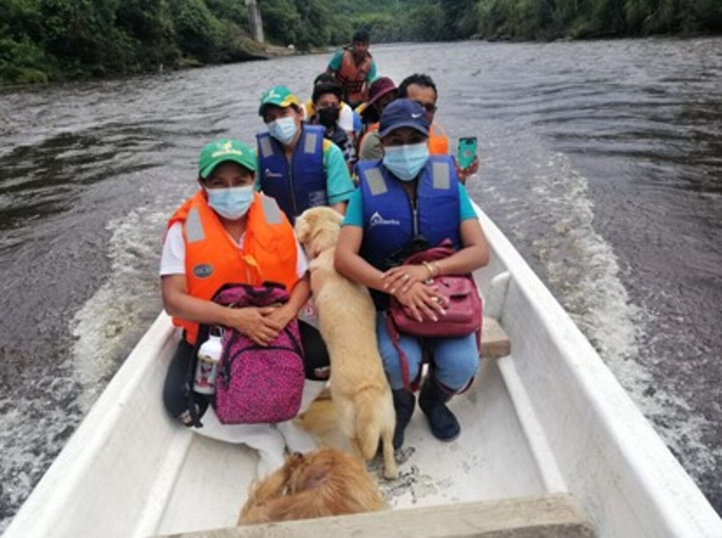 Brigada médica integral y de vacunación en la comunidad Shuar Saar, Entsa de la parroquia Nuevo Paraíso del Cantón Nangaritza, provincia de Zamora Chinchipe, distrito 19D04.