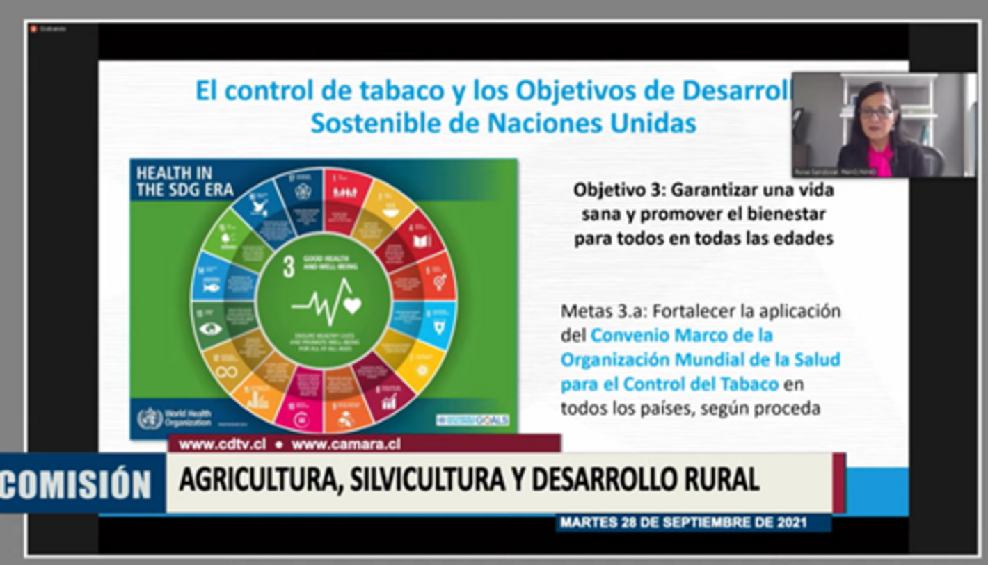 La iniciativa busca adecuar la legislación nacional al estándar del Convenio Marco de la Organización Mundial de la Salud para el control del tabaco y contempla la implementación del empaque neutro y la eliminación de saborizantes. 