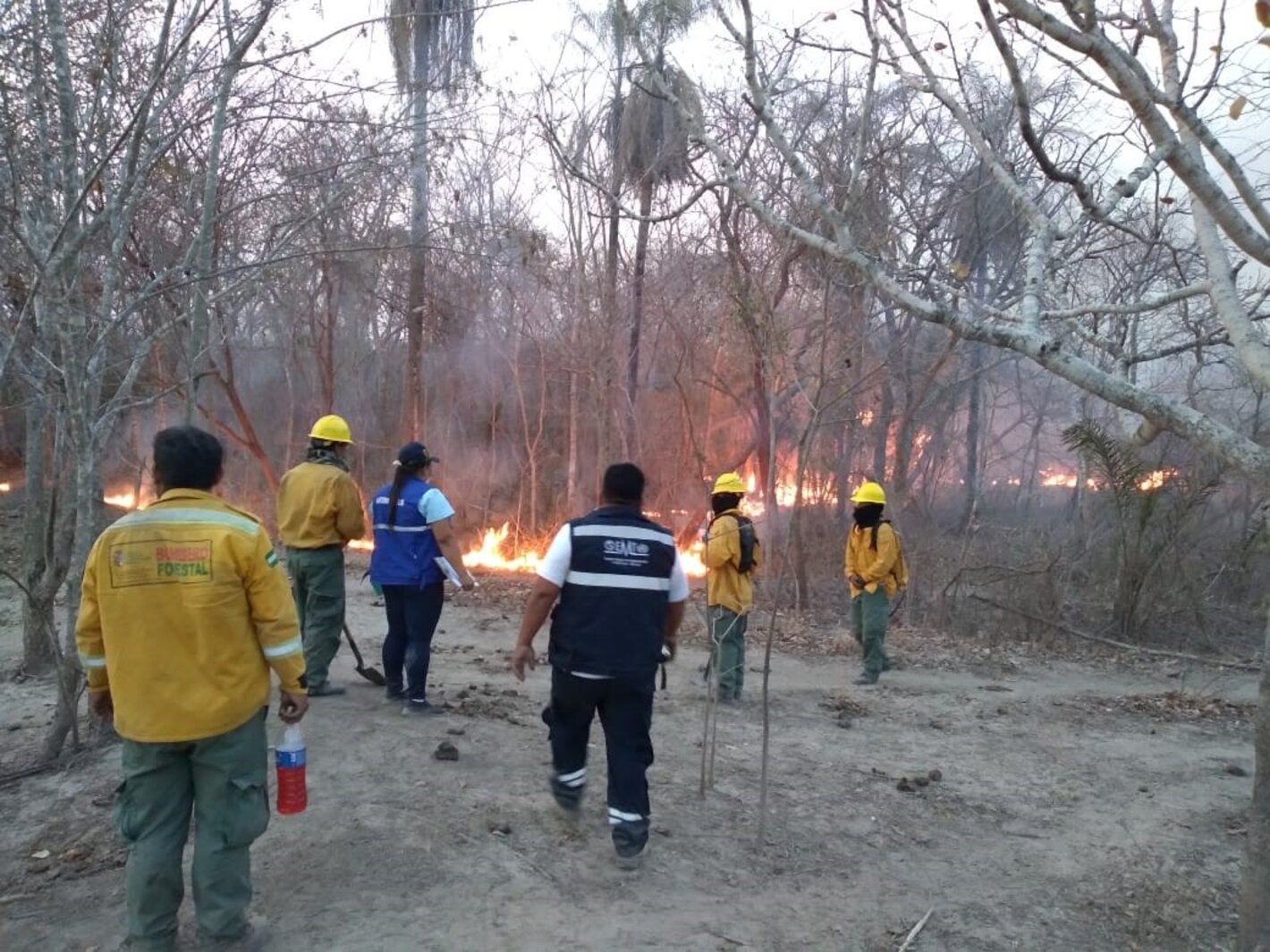 Incendios Chiquitanía