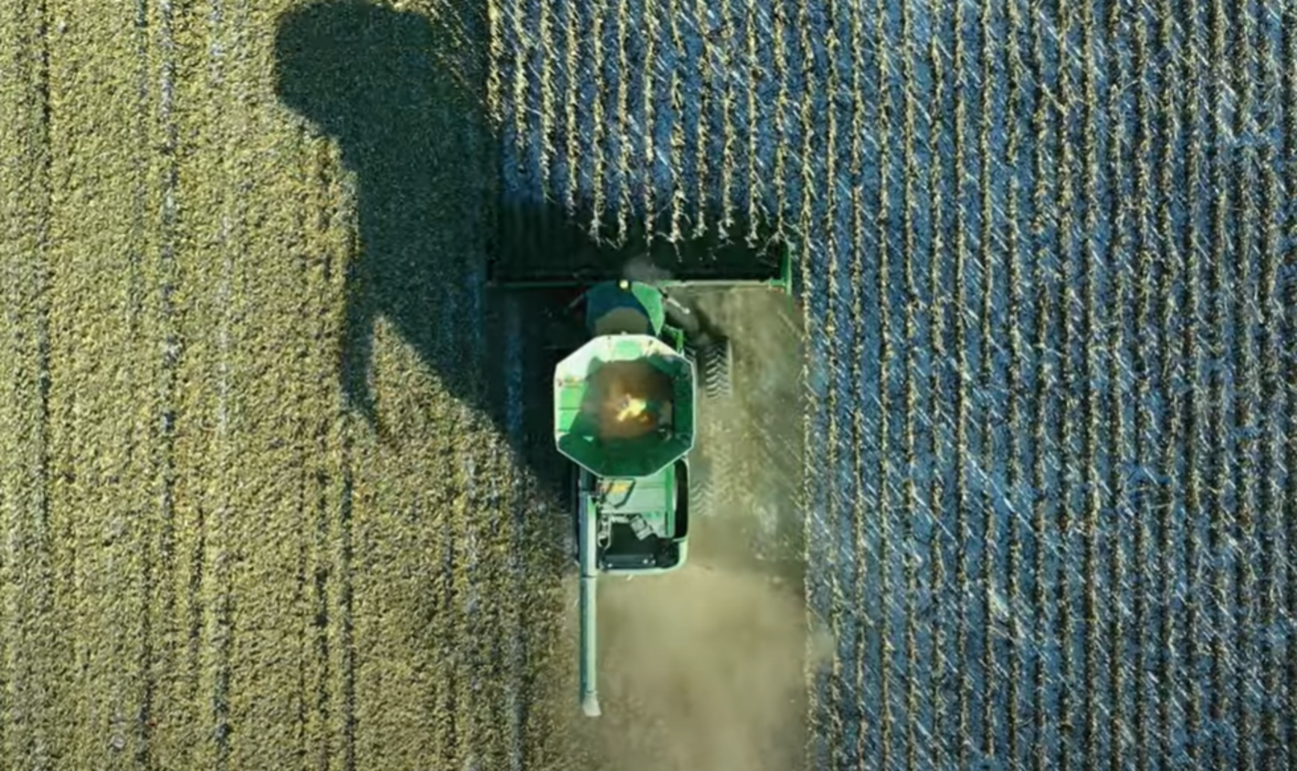 sistemas alimentarios