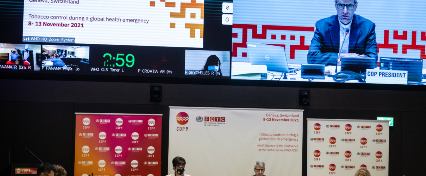 Image of panel at COP9 conference