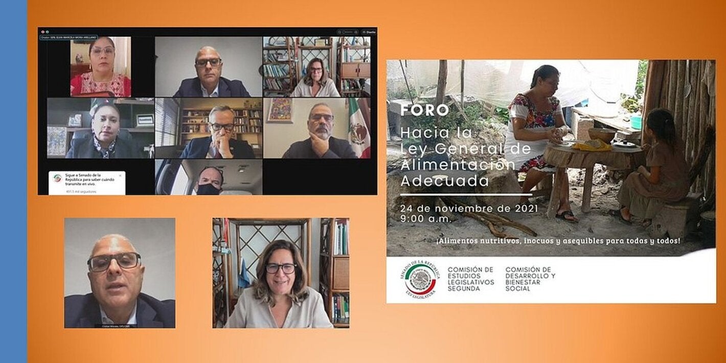 OPS ratifica su respaldo a hacia una legislación en México por una alimentación adecuada