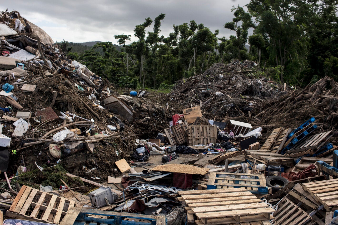 environmental health