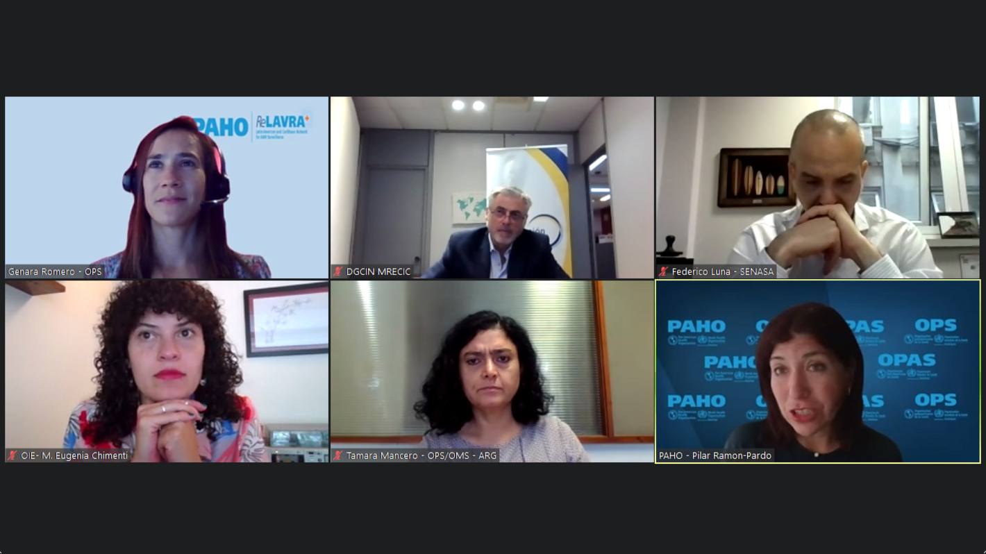 Argentina concluye tres años de fortalecimiento de la detección y vigilancia de la RAM en el Caribe, con el apoyo de la OPS