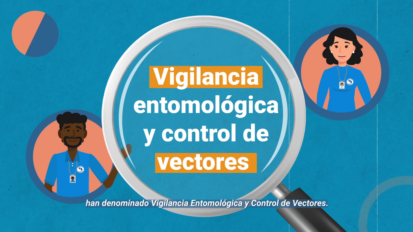 Vigilancia entomológica y control vectorial