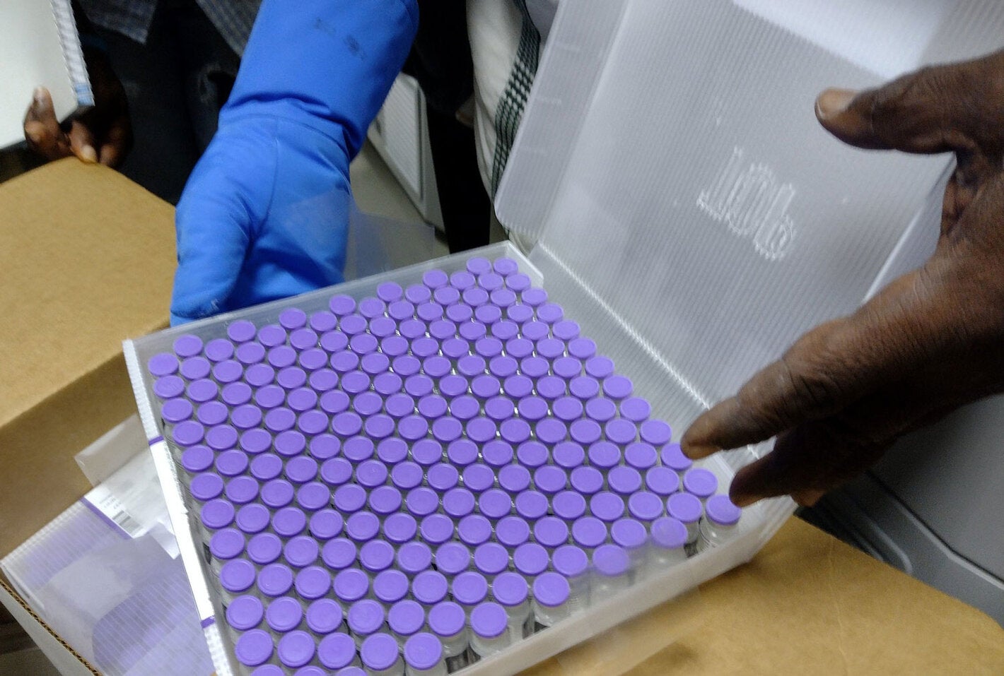 Vaccines delivered through COVAX to the Americas