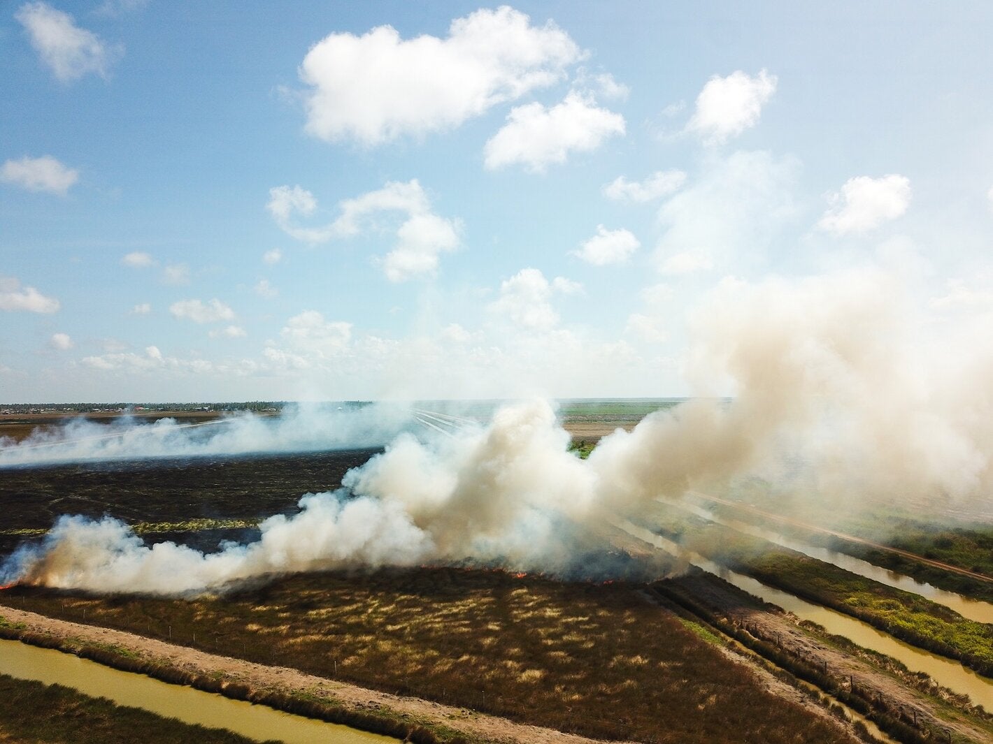 East Berbice wild fire