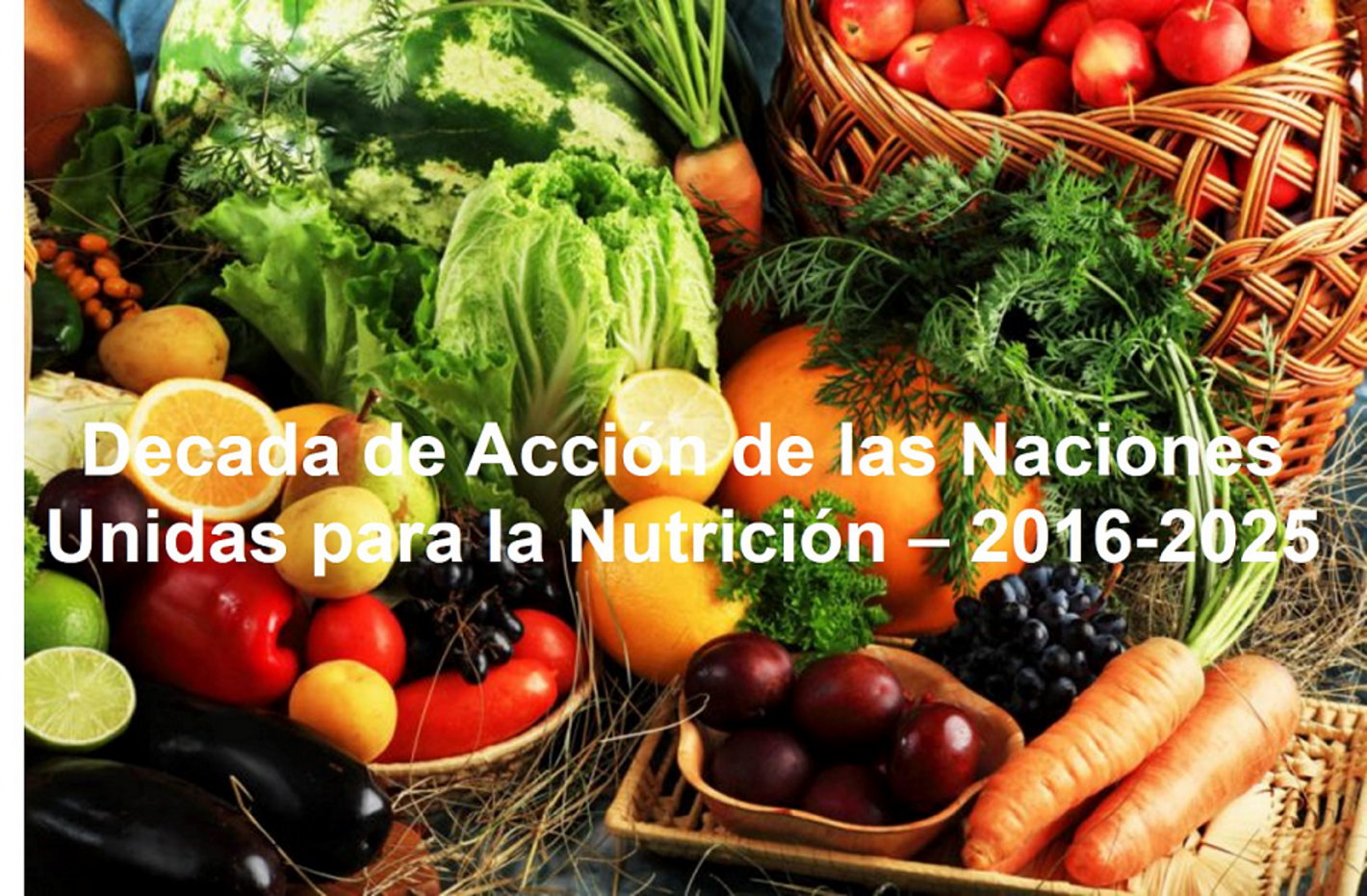Decada de las Naciones Unidas para la Nutricion - 2016-2025