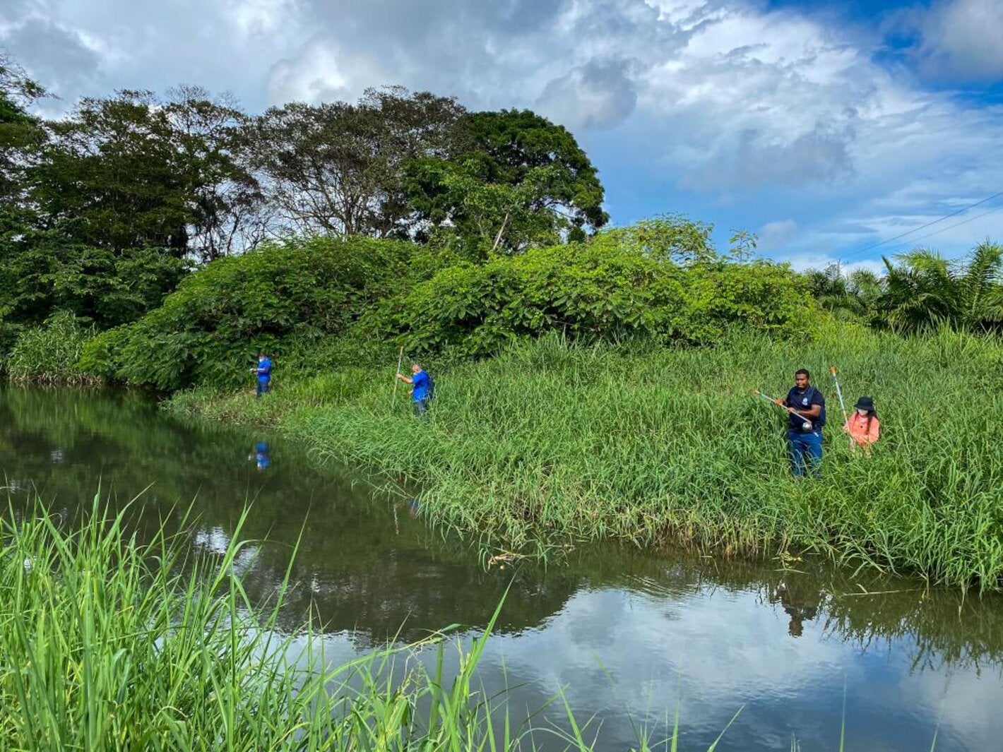 Trabajo de campo en vigilancia vectorial