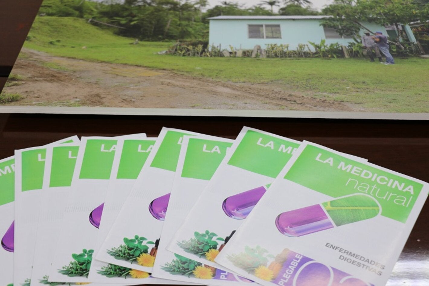Folletos medicina natural