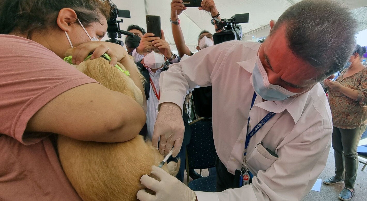 XXII Jornada vacunacion antirrabica