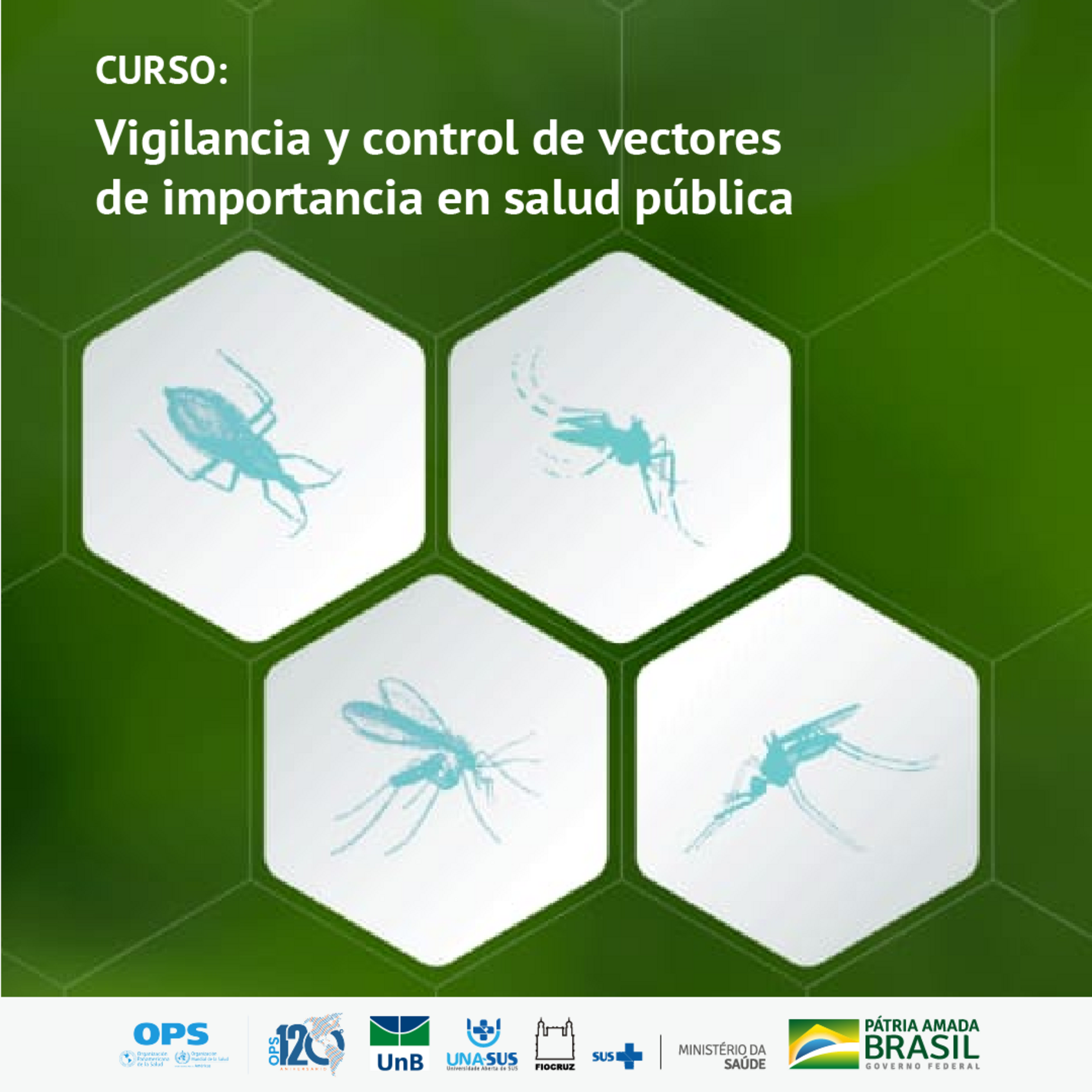 Webinar de lanzamiento y divulgación del curso en línea Vigilancia y control de vectores de importancia en salud pública