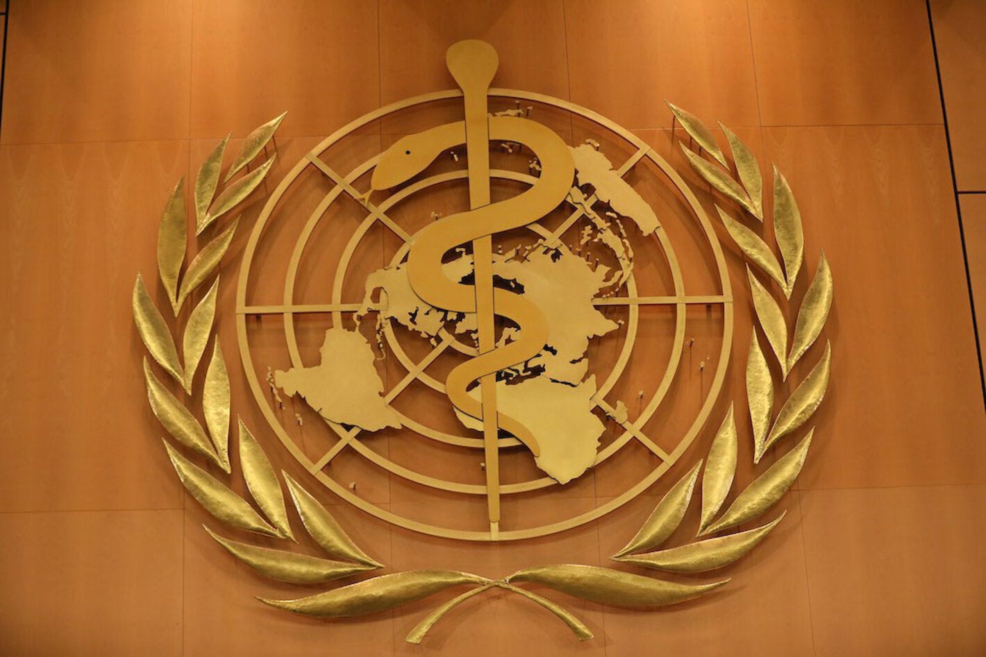 75 Asamblea Mundial de la Salud