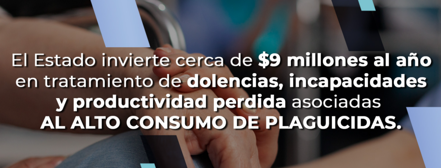 El Estado invierte cerca de $9 millones al año en tratamiento de dolencias, incapacidades y productividad asociadas al ALTO CONSUMO DE PLAGUICIDAS