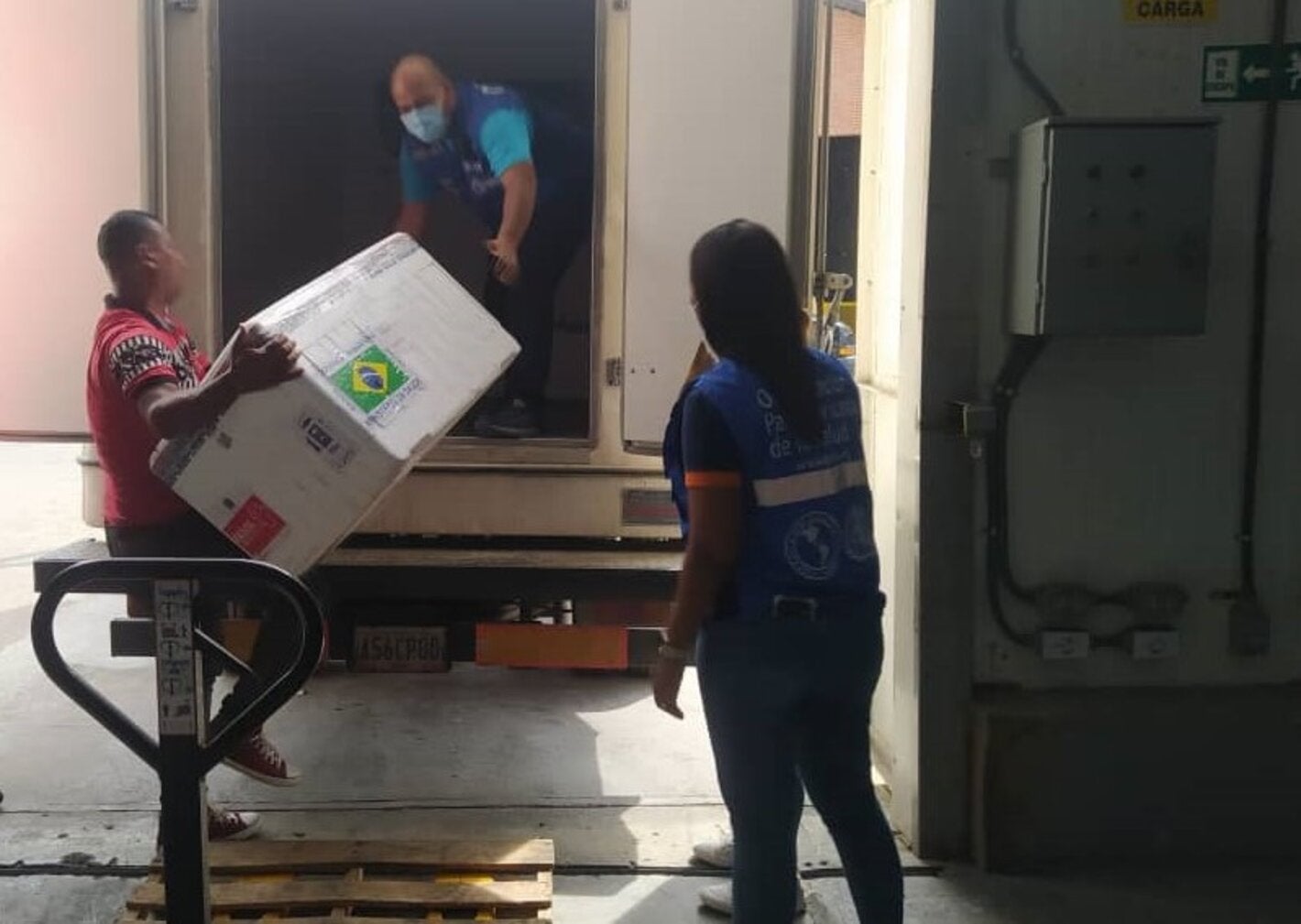 Las vacunas antirrábicas se trasladaron al almacén central de epidemiología del MPPS