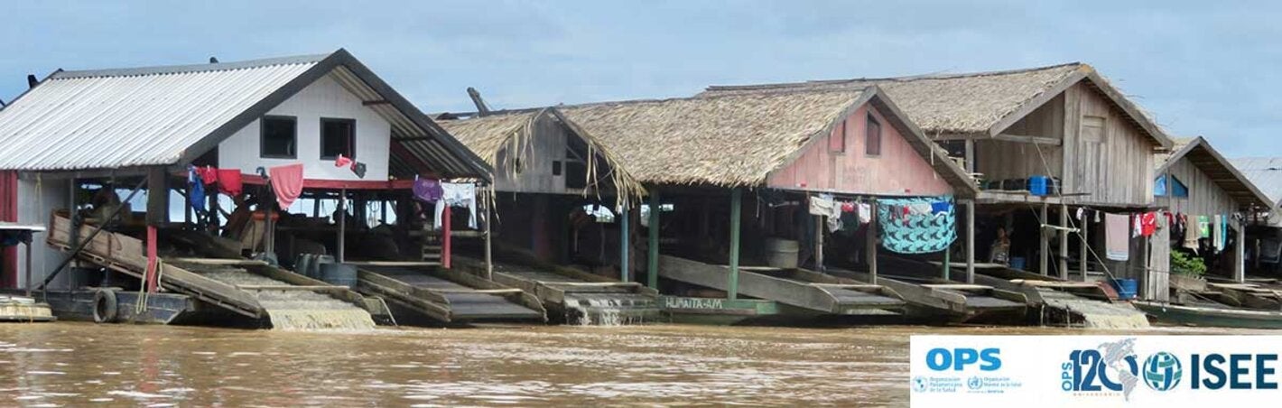 Webinario: Exposición ambiental al mercurio y efectos sobre la salud en Latinoamérica y Caribe
