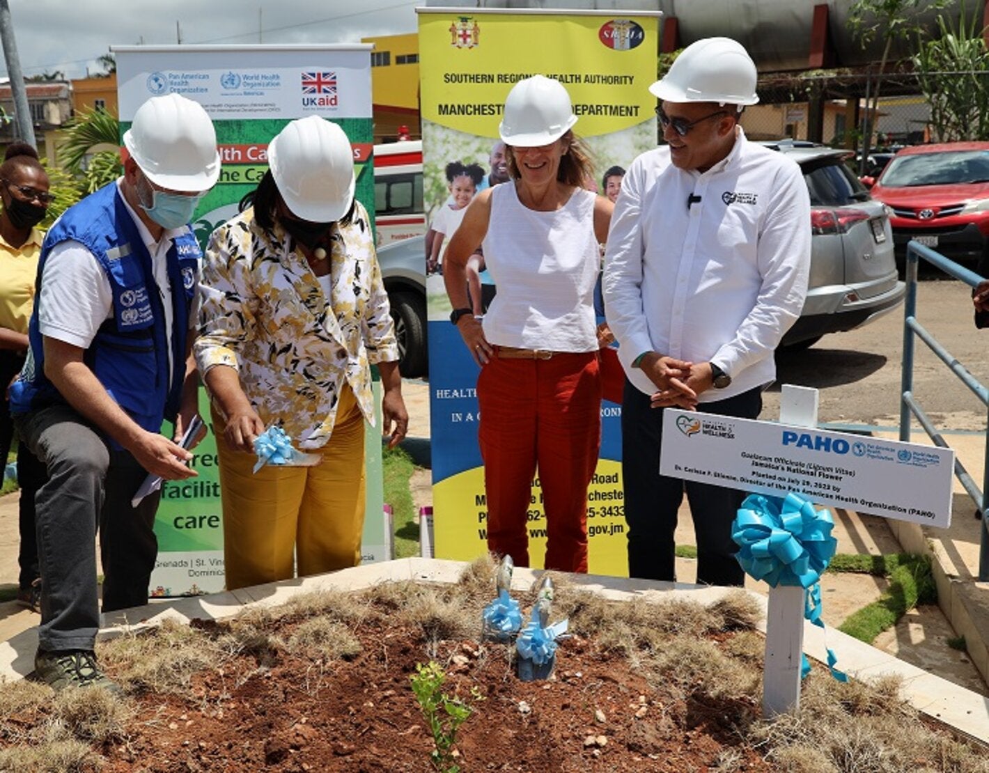 Dr. Etienne (second left) is pictured moments after planting Jamaica's national tree. Looking on (L-R) are PWR Stein, High Commissioner Judith Slater, British High Commission to Jamaica and Hon. Christopher Tufton, Minister of Health and Wellness in Jamaica